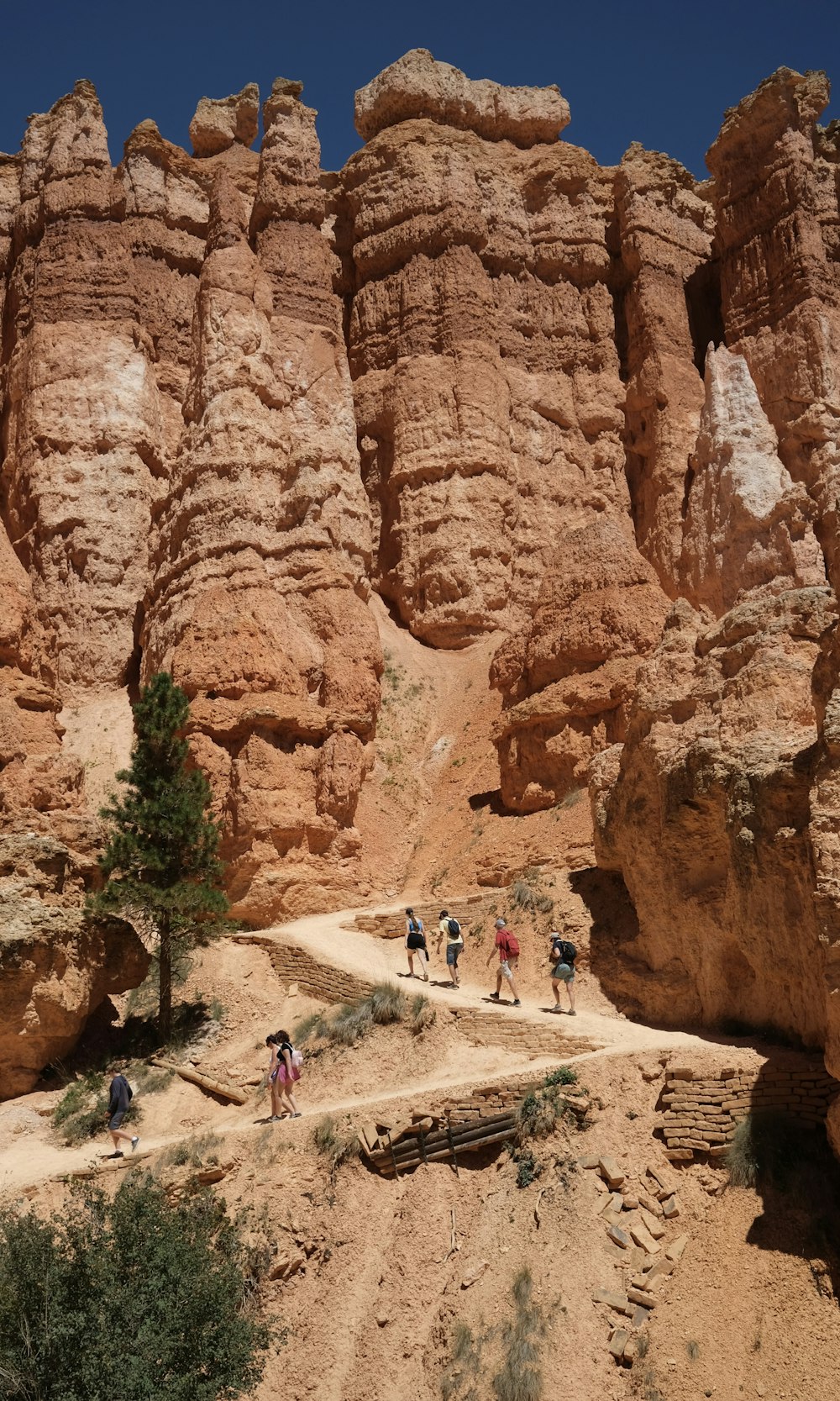 a group of people walking up a dirt road