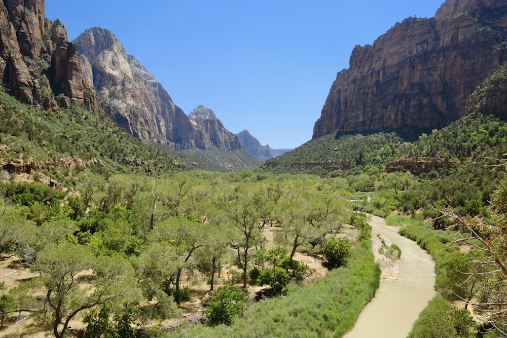 a river running through a lush green valley