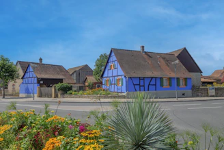 a row of houses with blue paint on the side of the road