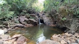 a small pool of water surrounded by rocks