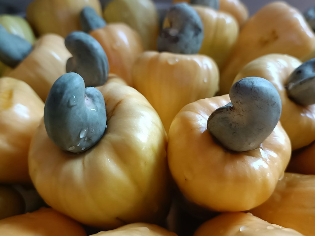 Cashew Kernels