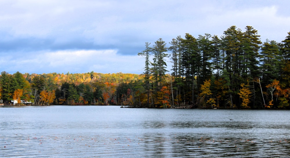 a body of water surrounded by trees in the fall