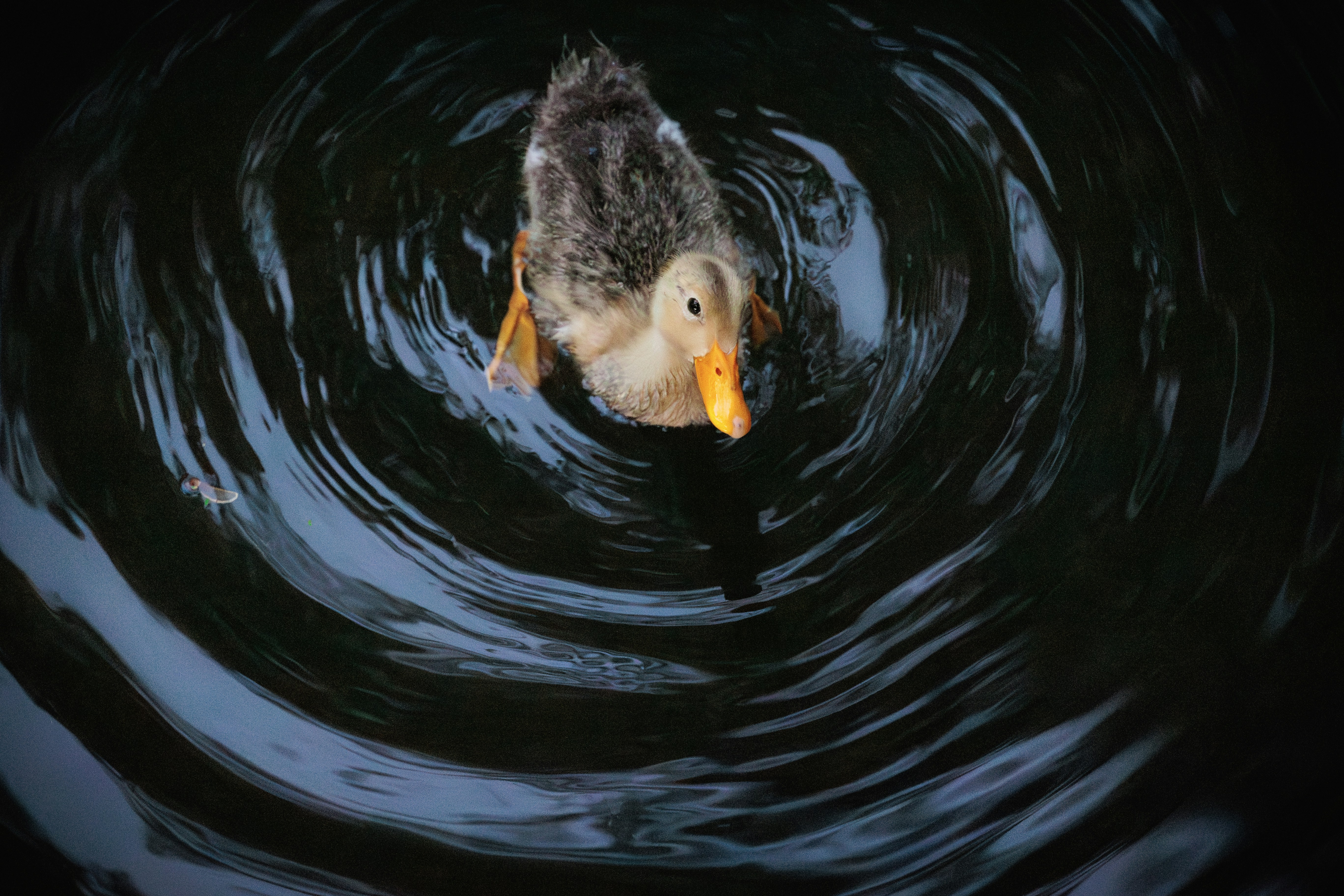 マリノス ユニフォーム 黄色