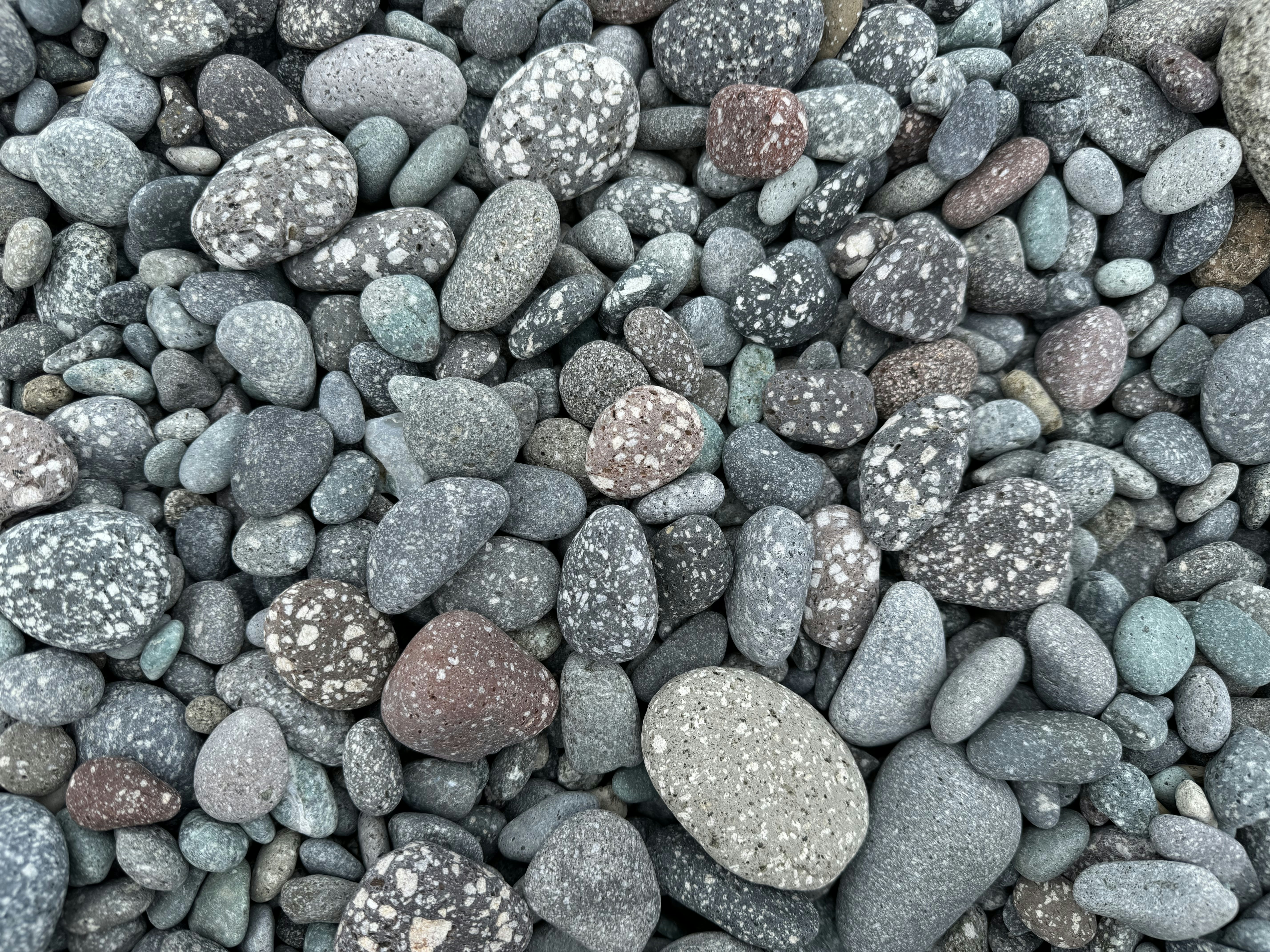 Photo by tieguanyindev