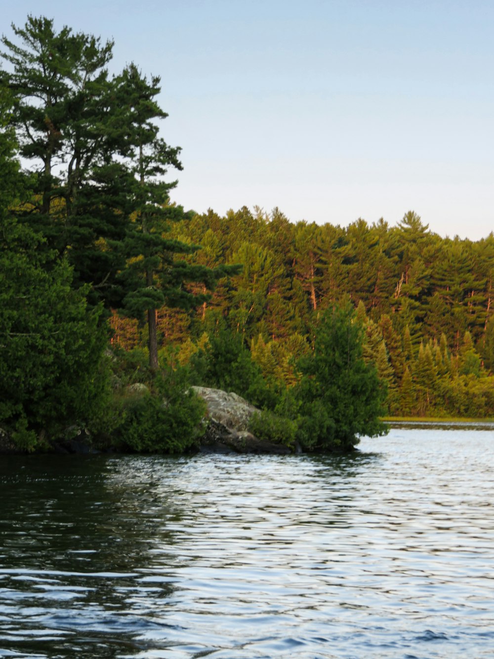 a large body of water surrounded by trees