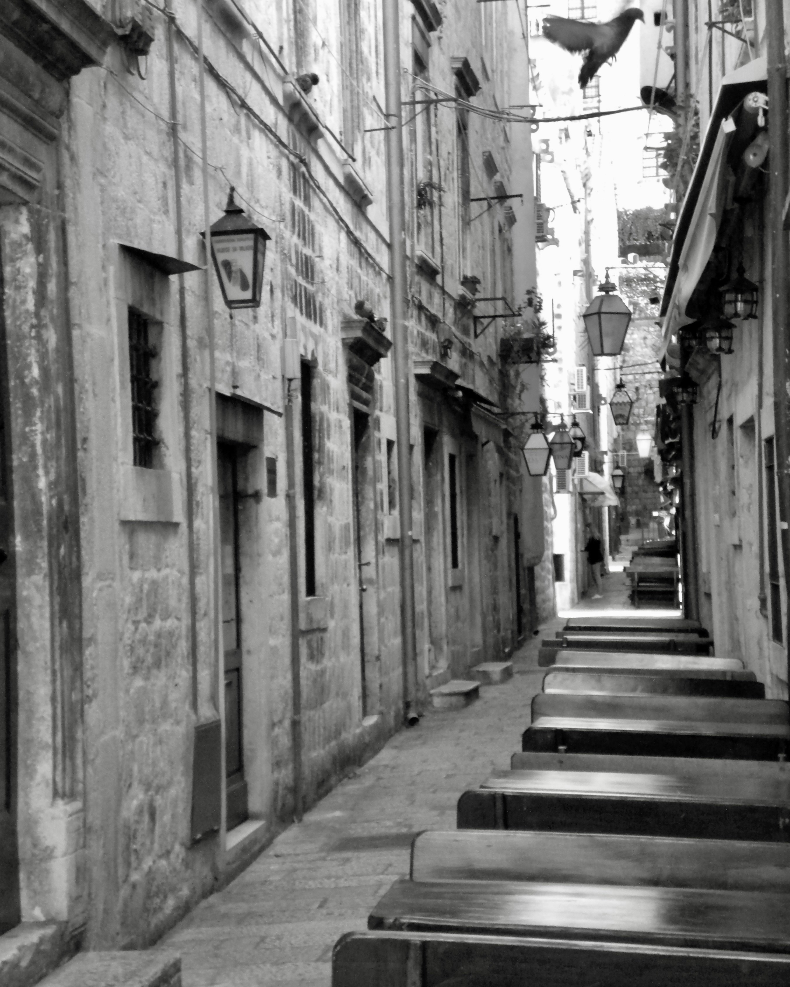 Photo by kealohagirl1