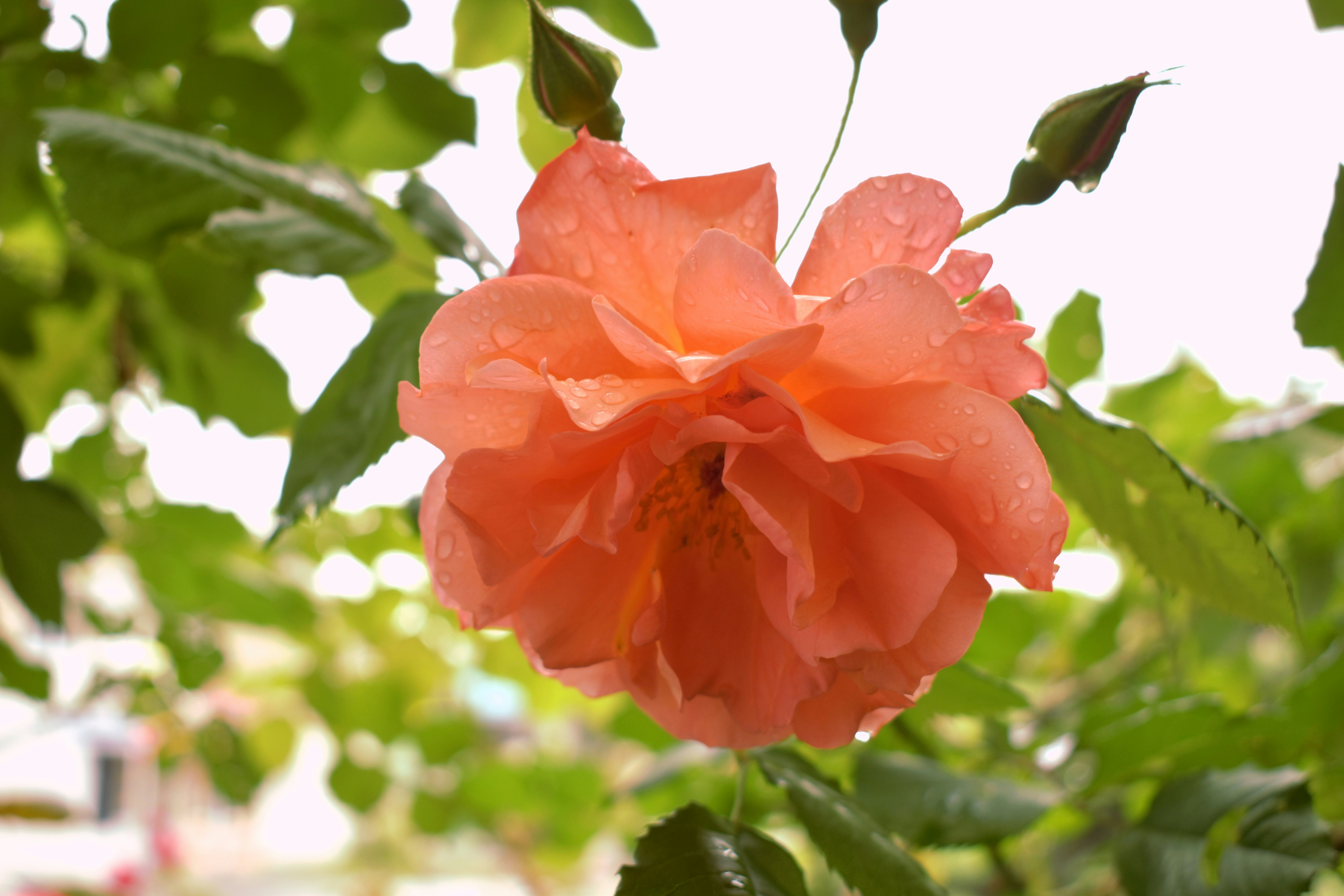 Photo by polina_grishma