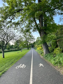 A serene park path lined with trees, perfect for jogging.