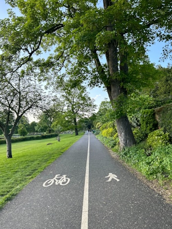A serene park path lined with trees, perfect for jogging.