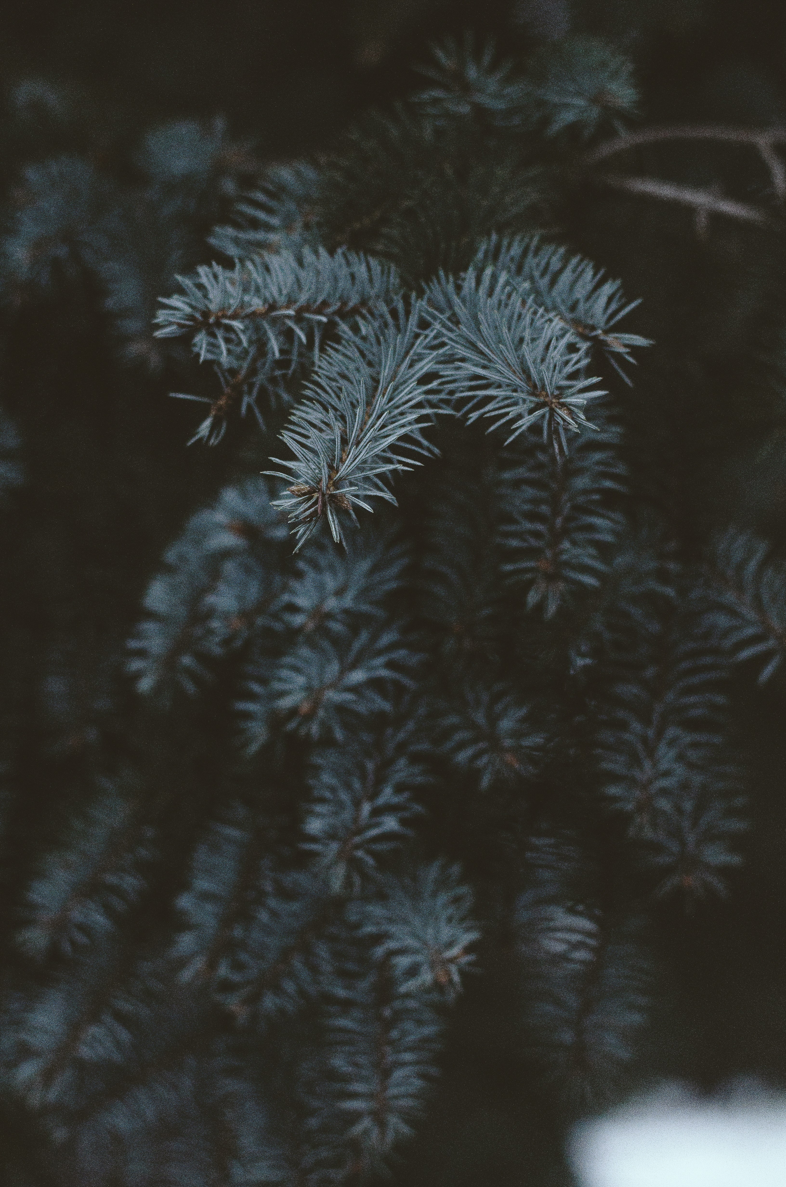 Photo by melanie_l13