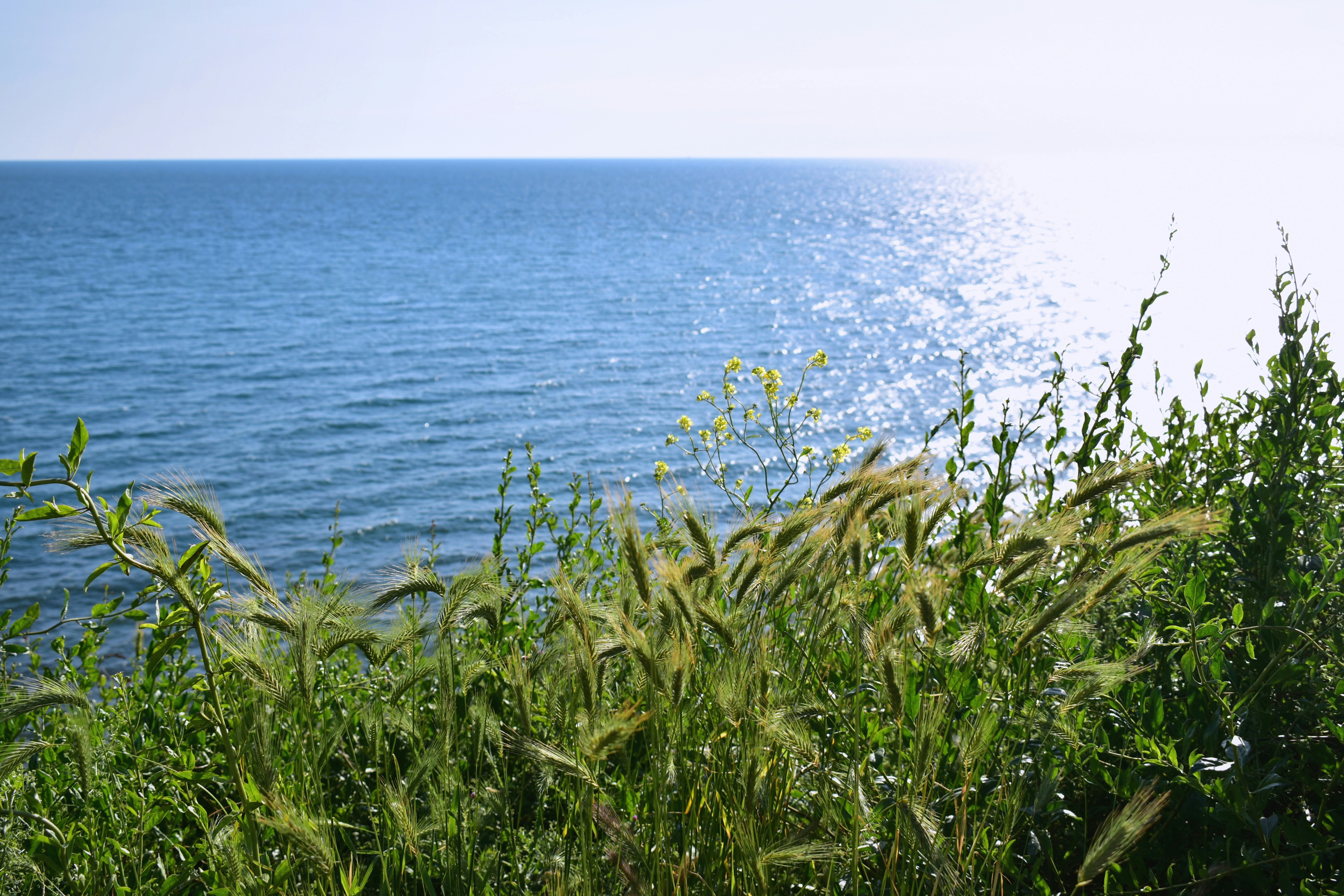 Photo by polina_grishma