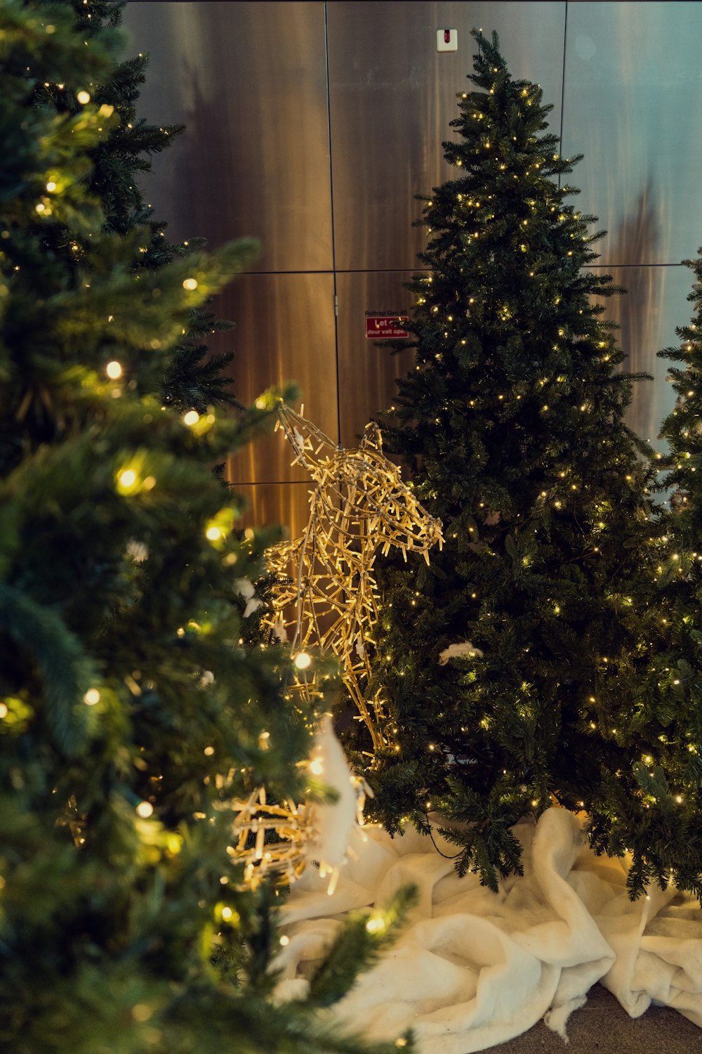 a group of christmas trees sitting next to each other