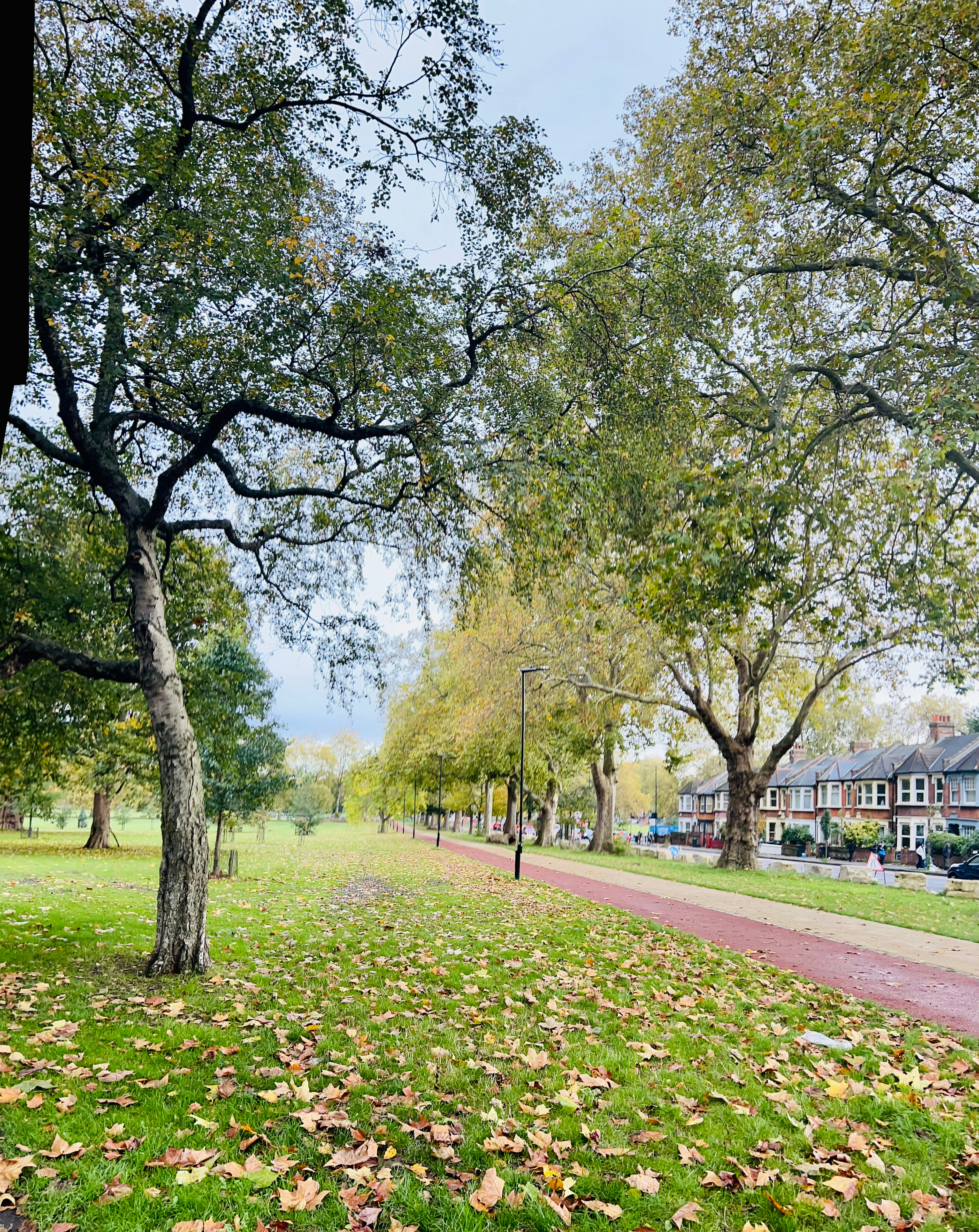 Photo by momentswithme