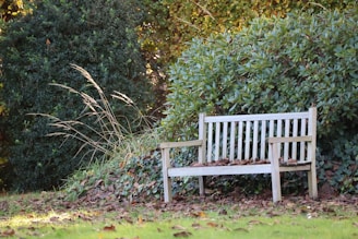 A sturdy outdoor bench made from reclaimed wood, surrounded by greenery in a garden setting.