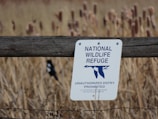 A sign on a wooden fence indicates a 'National Wildlife Refuge' with unauthorized entry prohibited. The background features tall, dry grasses, possibly cattails, in a natural setting.
