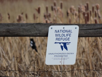 A sign on a wooden fence indicates a 'National Wildlife Refuge' with unauthorized entry prohibited. The background features tall, dry grasses, possibly cattails, in a natural setting.