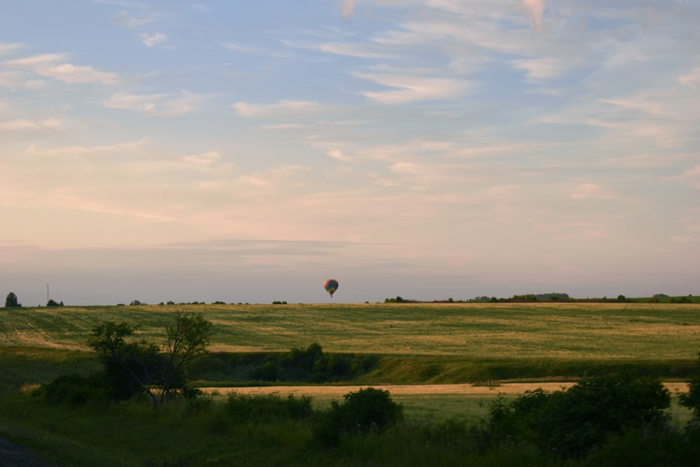 a field with a hot air balloon in the distance