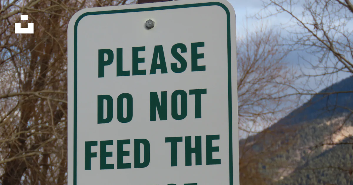 A Sign That Says Please Do Not Feed The Geese Photo Free Usa Image On a-sign-that-says-please-do-not-feed-the-geese-photo-free-usa-image-on