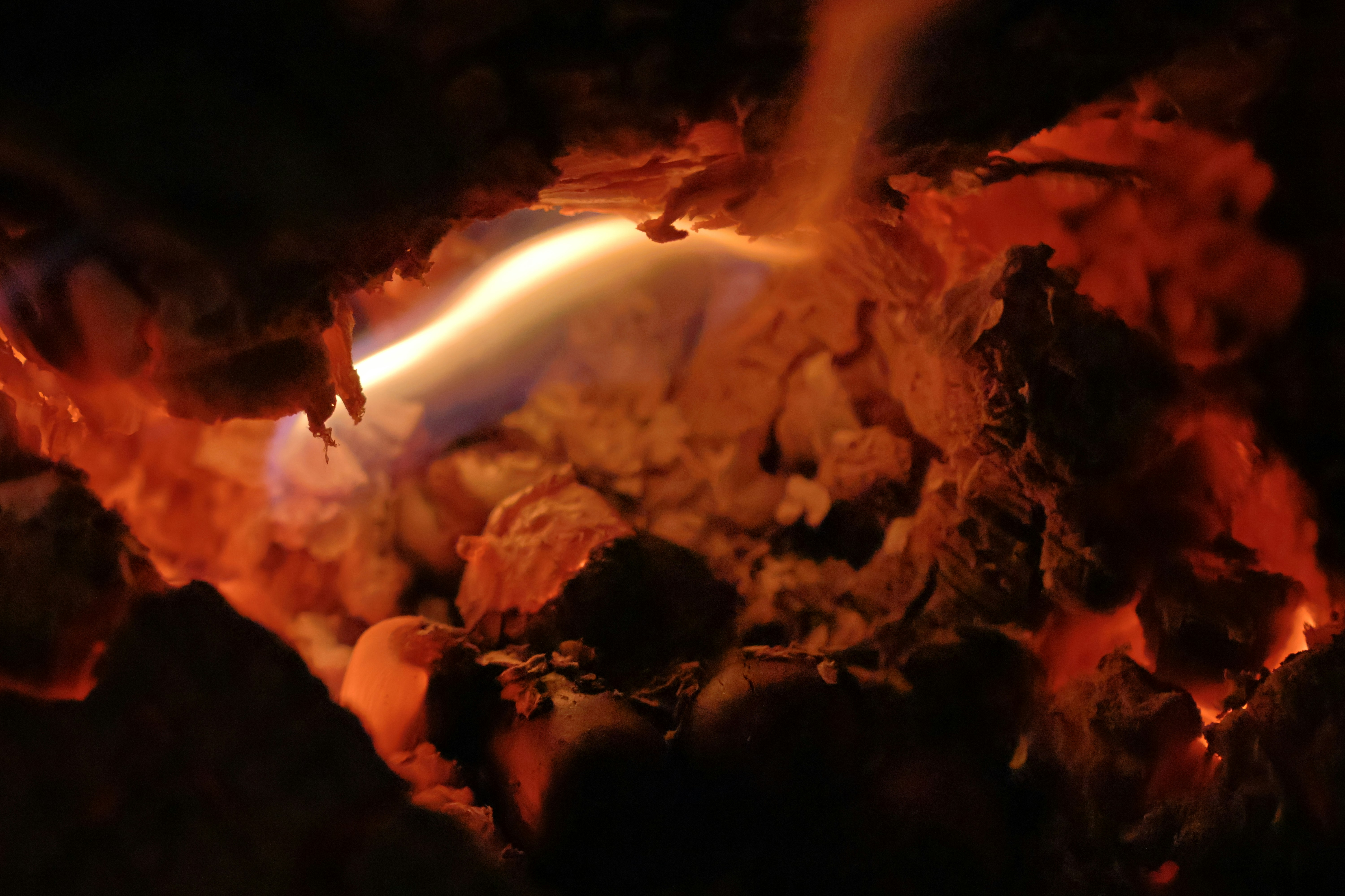 Methane Cycles and Organic Transport (image credits: unsplash)