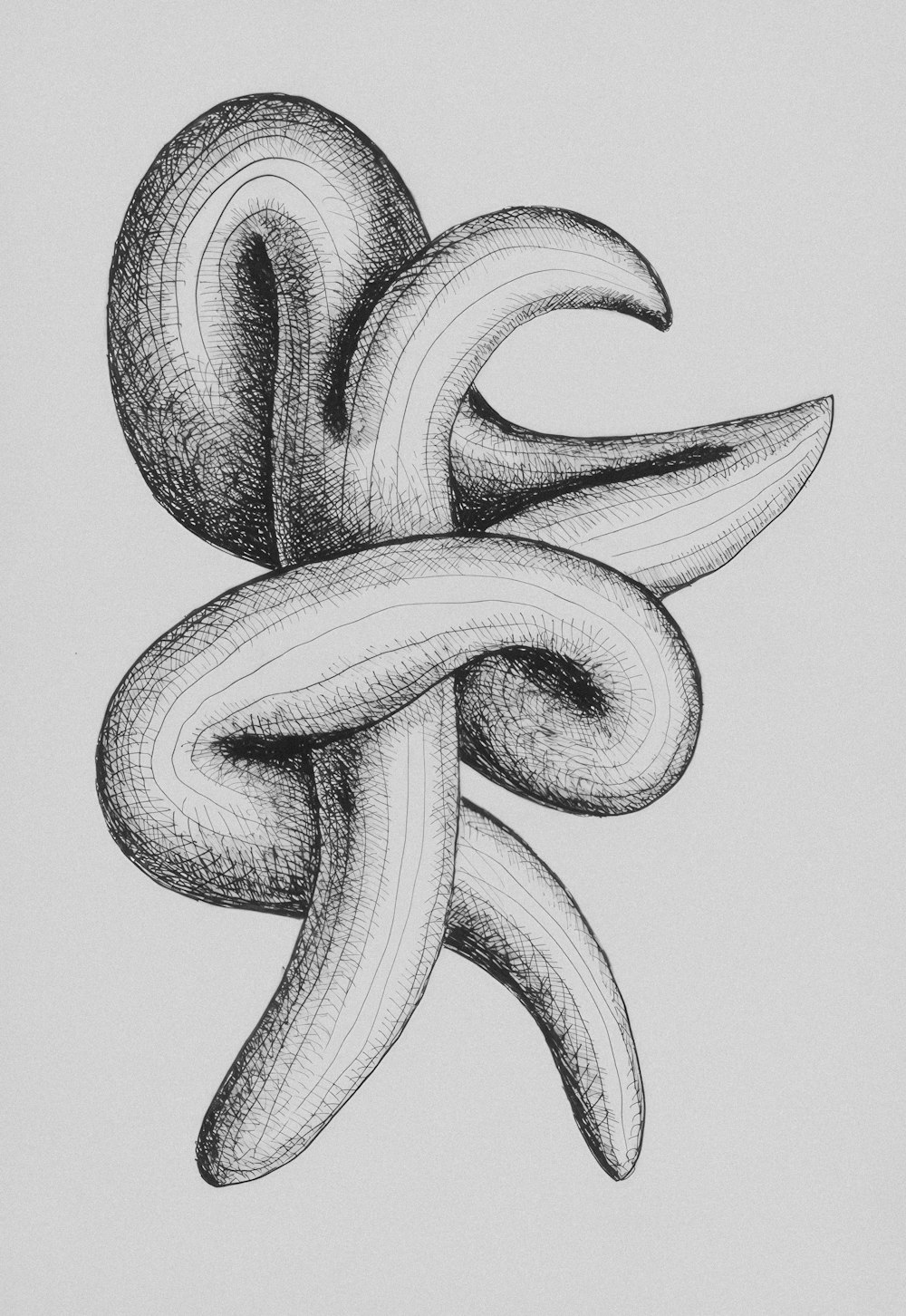 a black and white drawing of a snake