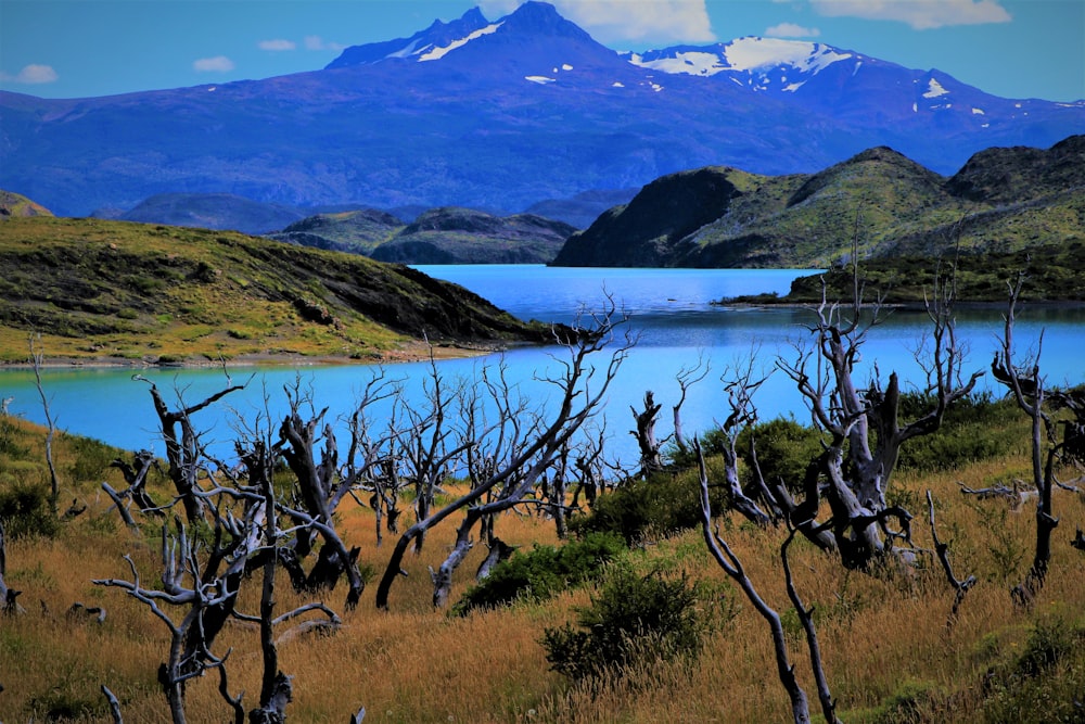 a blue lake surrounded by mountains and grass