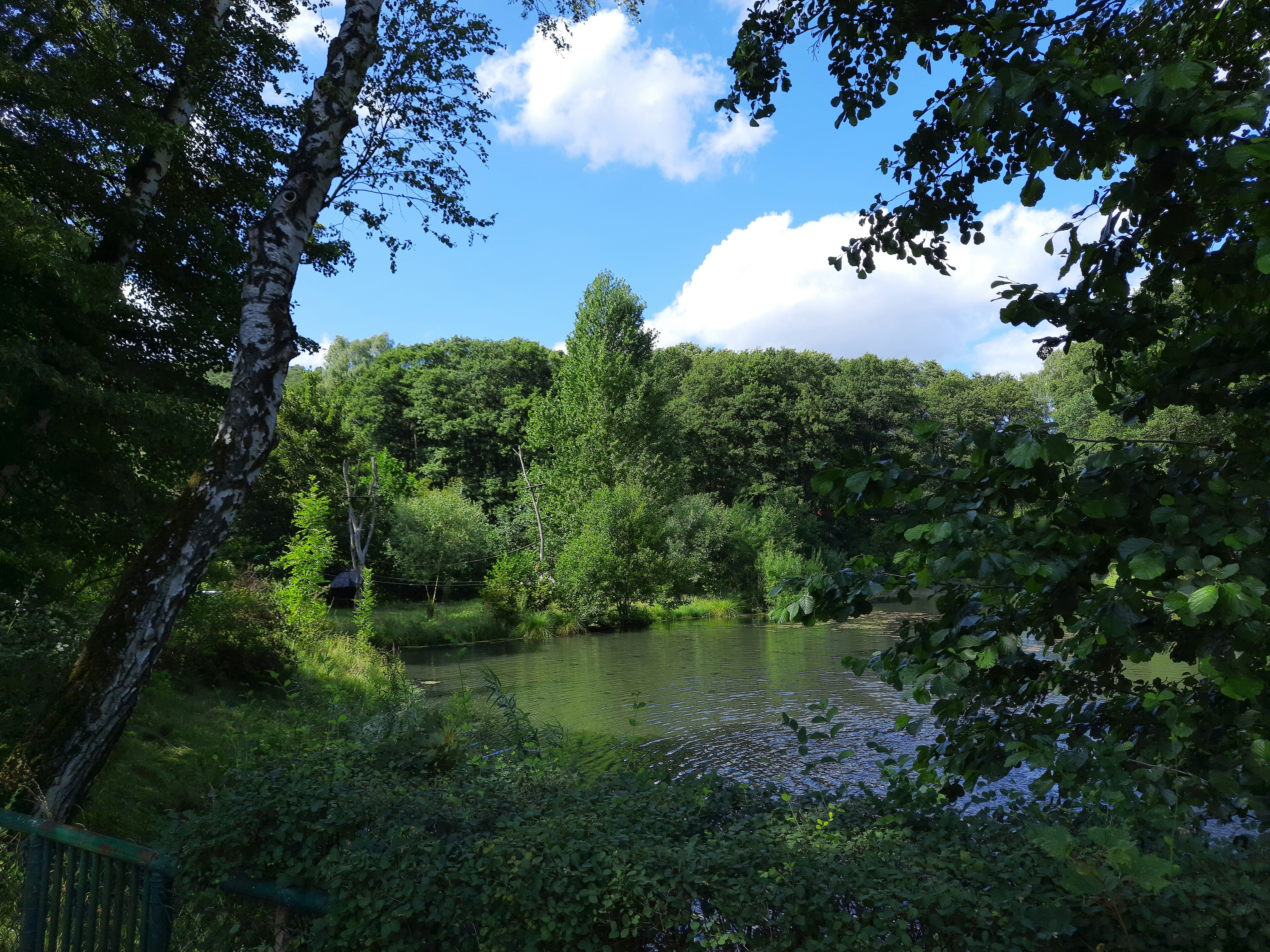 Photo by masuren_men