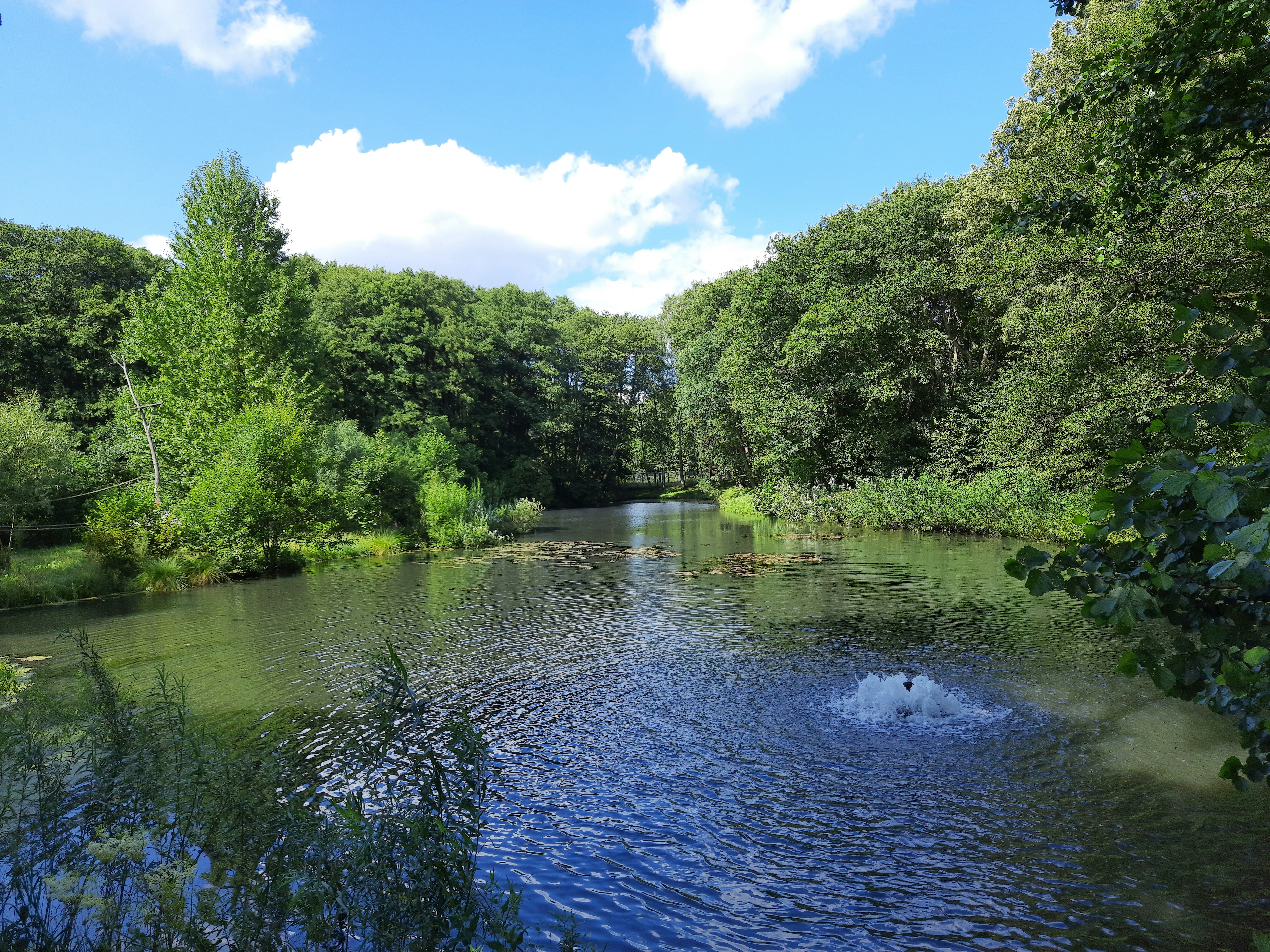 Photo by masuren_men