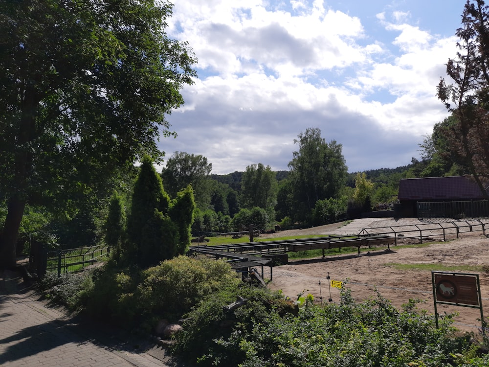 a park with benches and trees on a sunny day