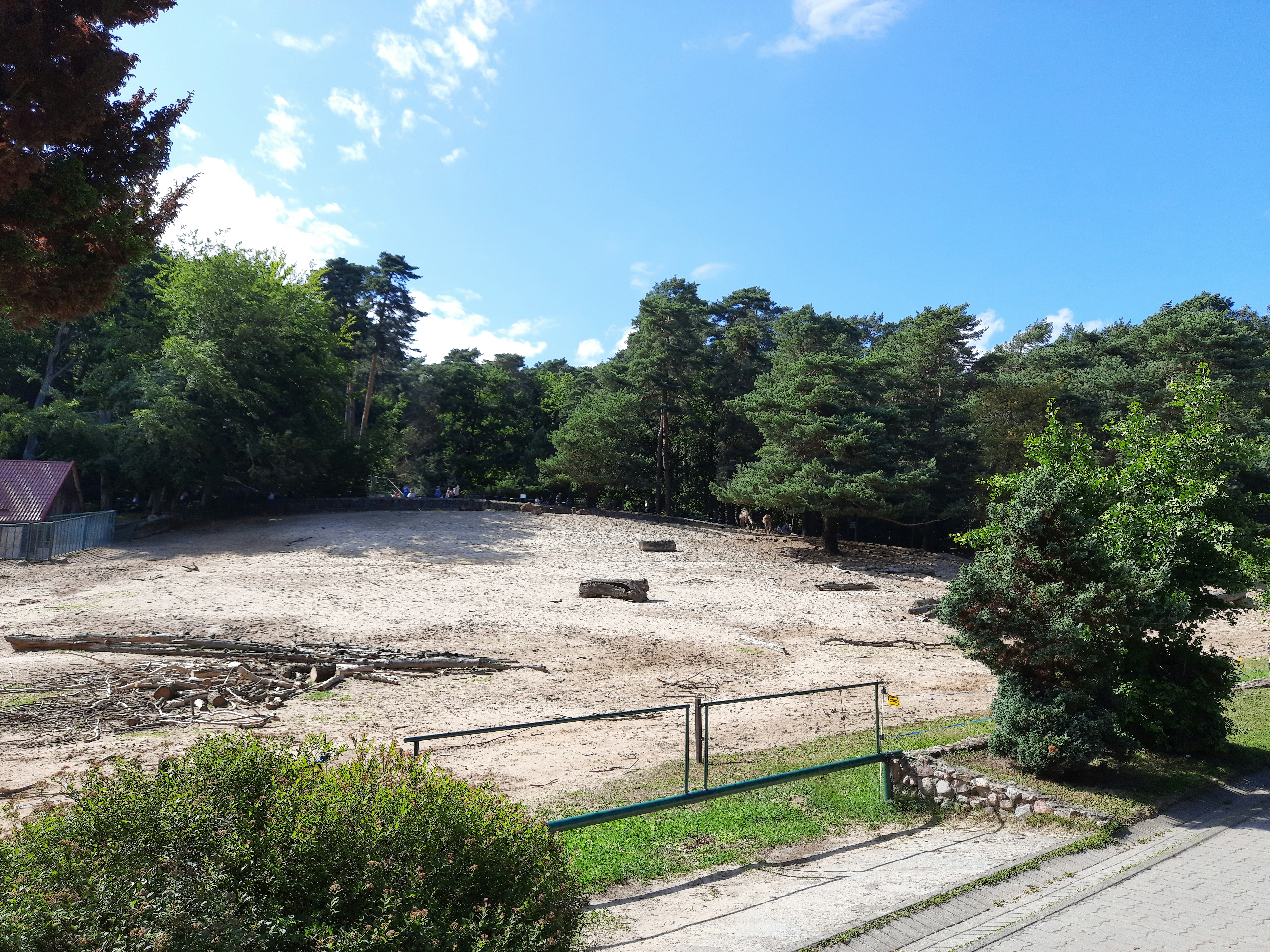 a dirt field surrounded by trees and stairs