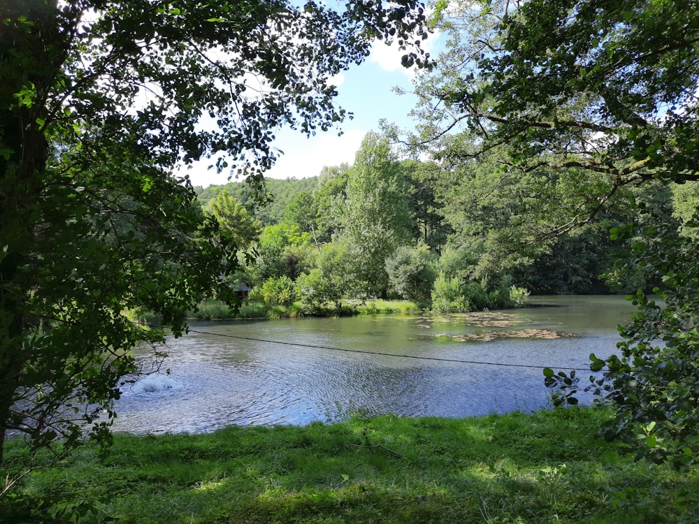 a body of water surrounded by trees and grass