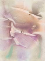 The image features soft, abstract shapes and gentle gradients of pastel colors blending into each other, creating a dreamy and ethereal quality. The composition has a smooth, flowing structure, suggesting an organic, fluid movement.