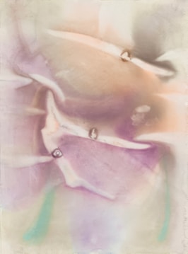 The image features soft, abstract shapes and gentle gradients of pastel colors blending into each other, creating a dreamy and ethereal quality. The composition has a smooth, flowing structure, suggesting an organic, fluid movement.