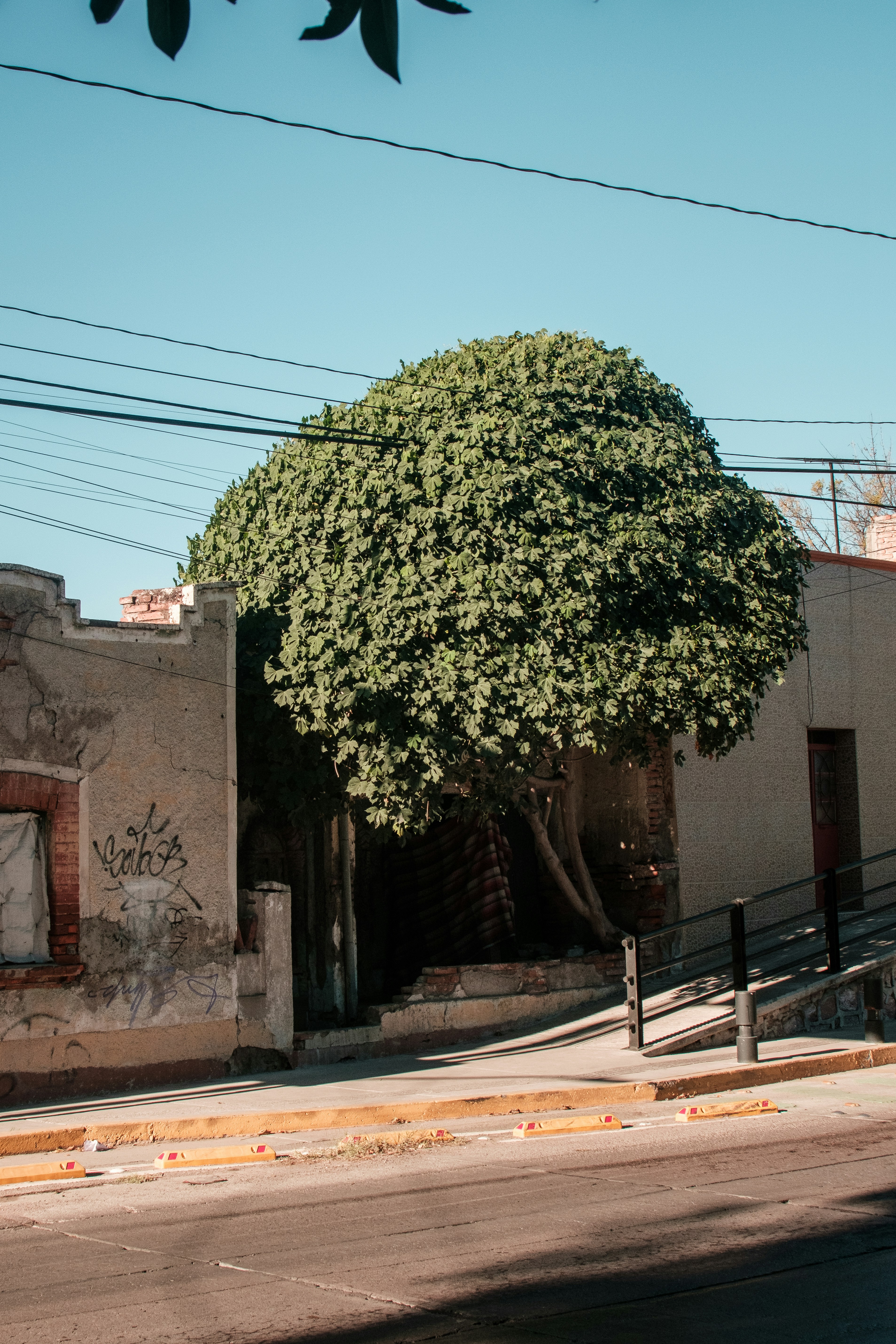 Photo by alex_quezada
