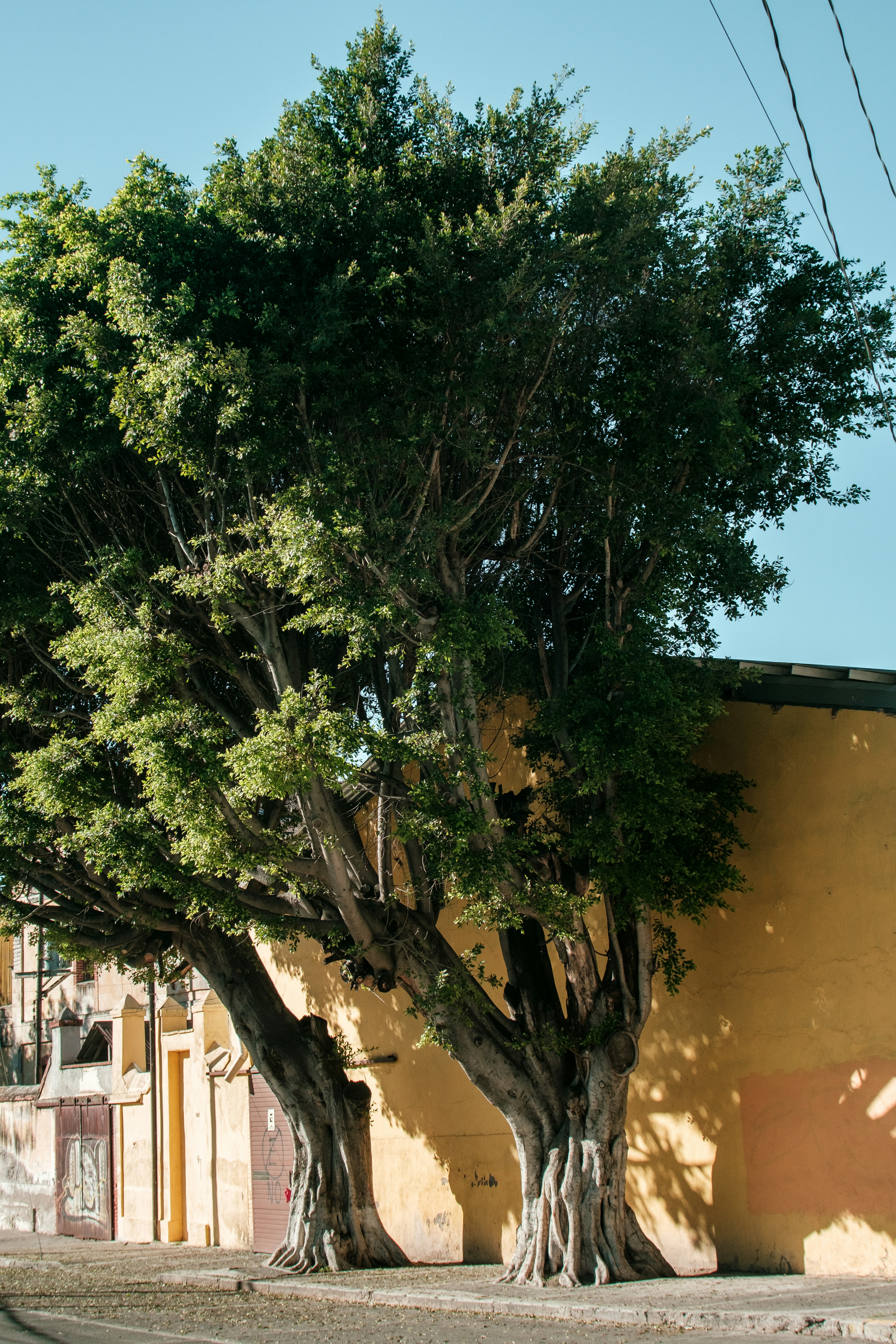 Photo by alex_quezada