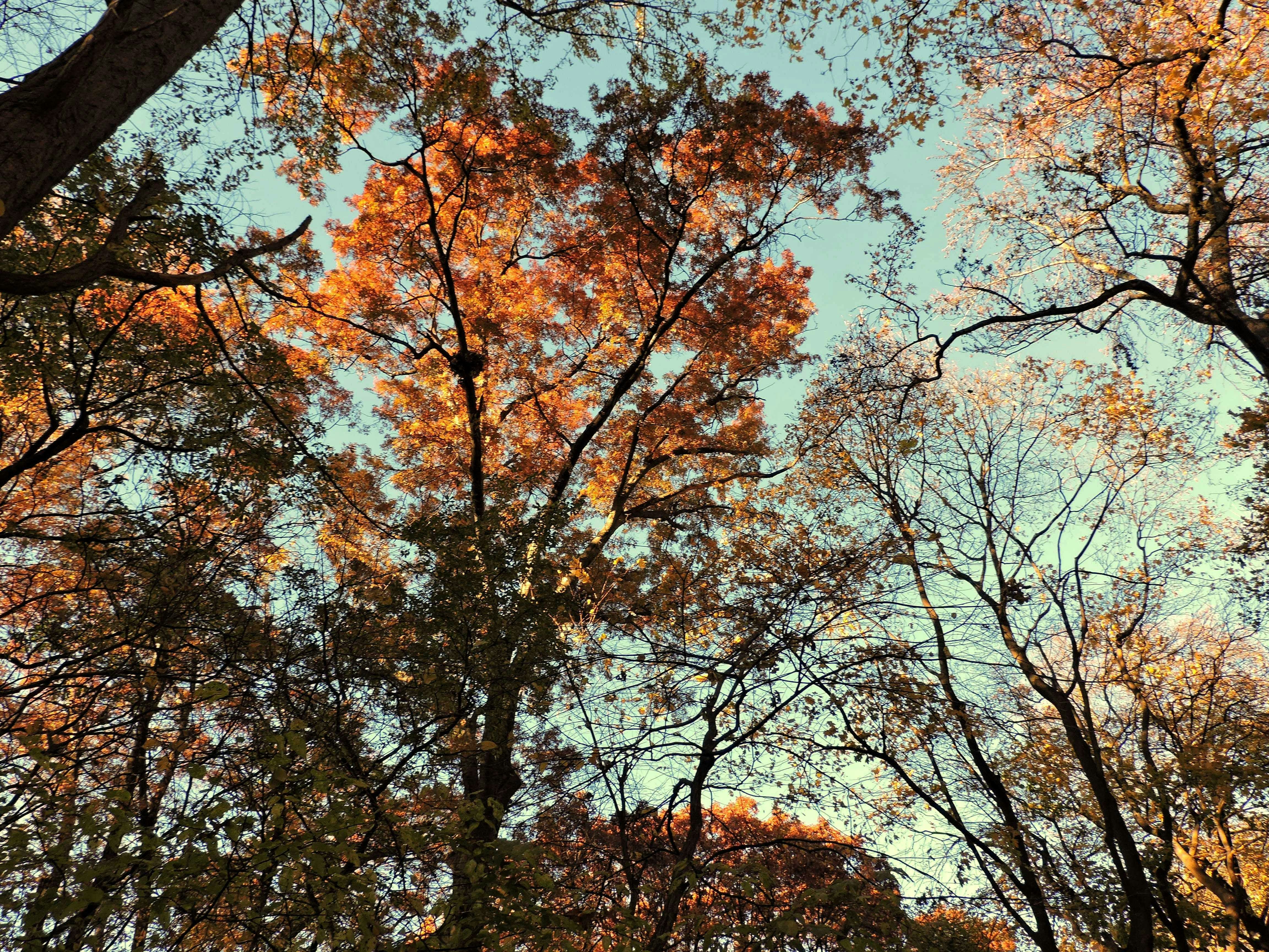 Photo by sebenrique12