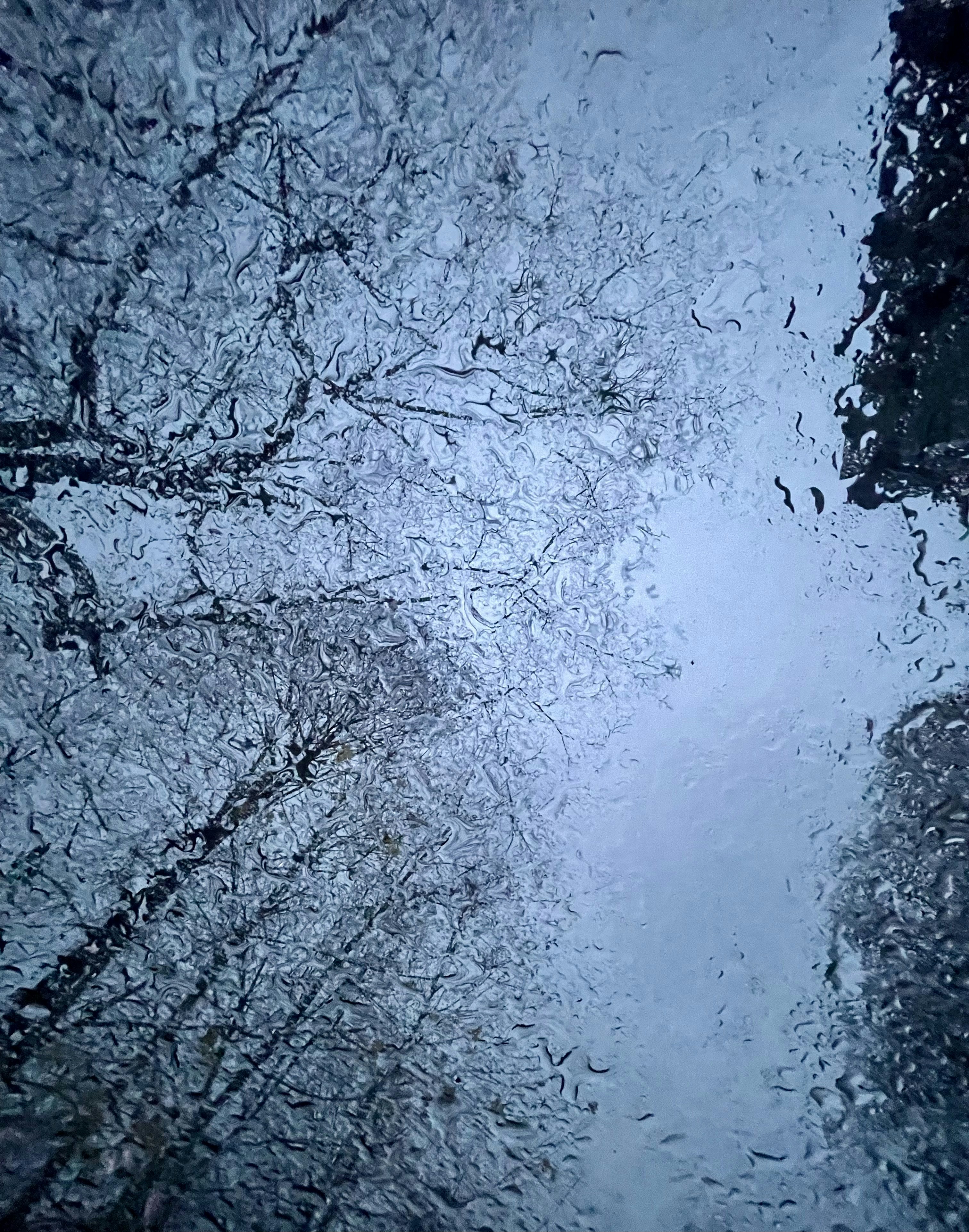 Photo by ananoelleeeee