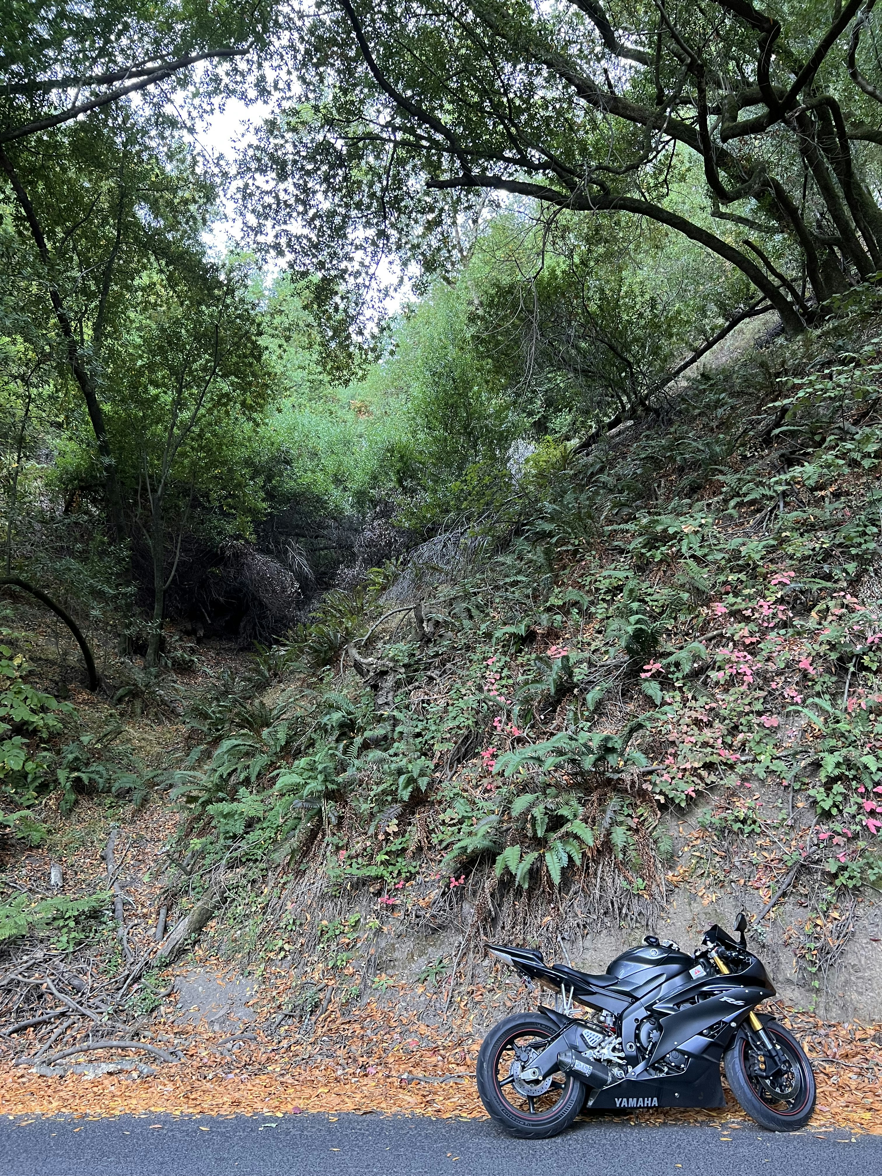 Motocicleta Yamaha XTZ