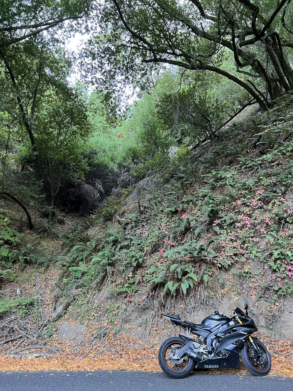 a motorcycle parked on the side of a road