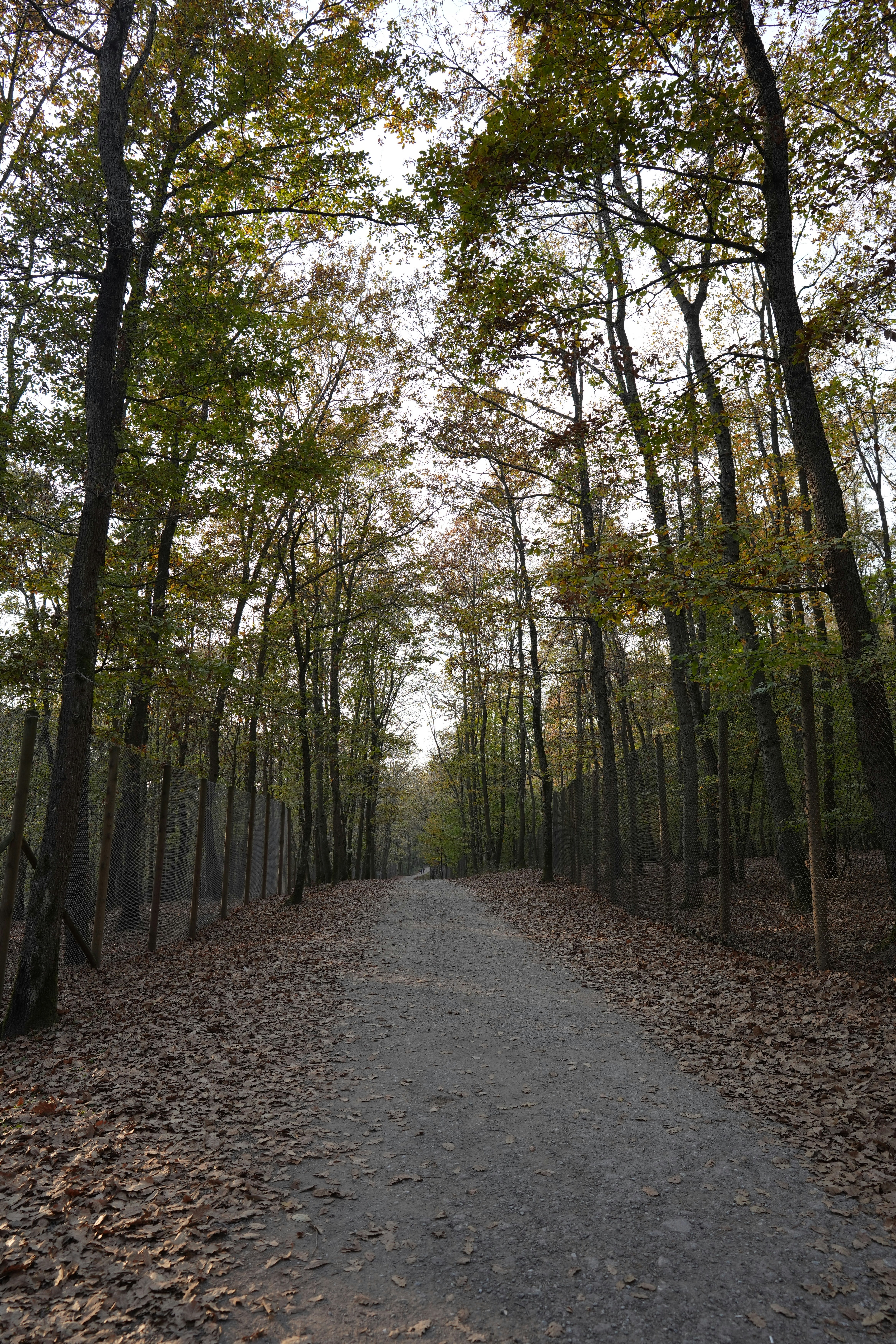 Photo by serkanazeri