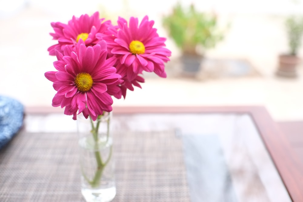 a vase filled with pink flowers sitting on top of a table