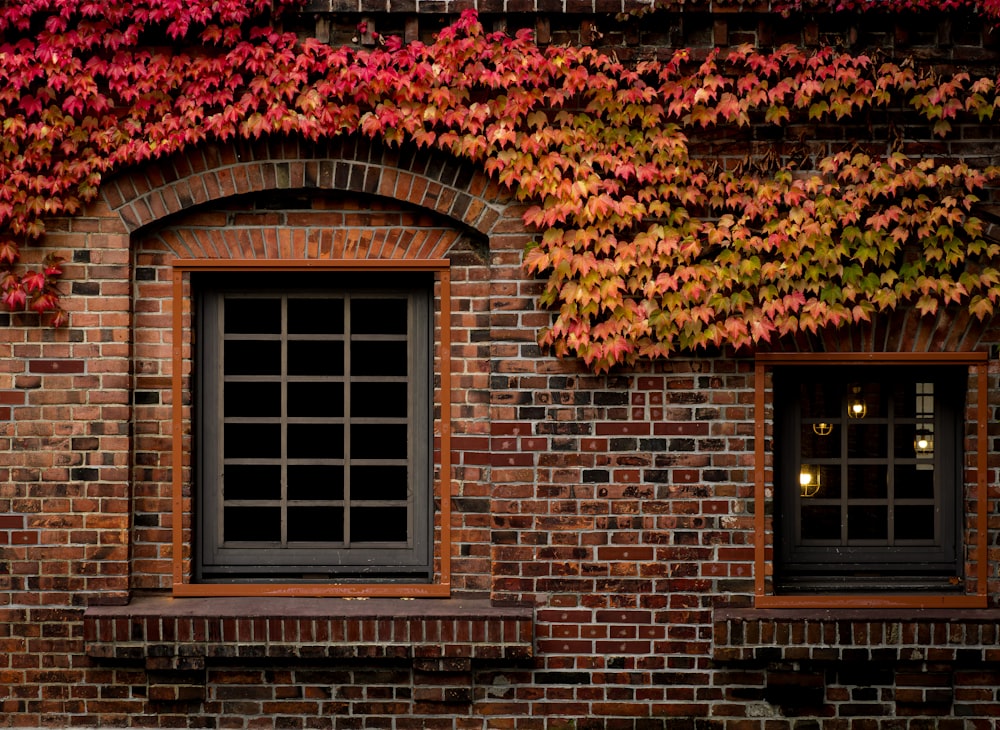 a brick building with a window and a bench in front of it