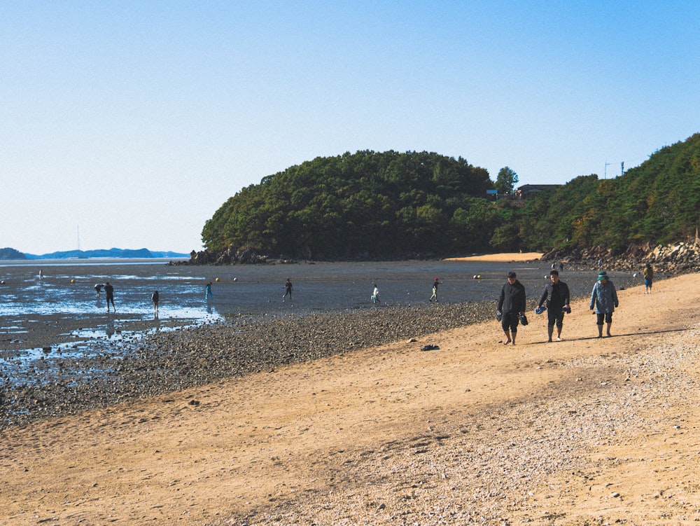 a group of people walking along a sandy beach