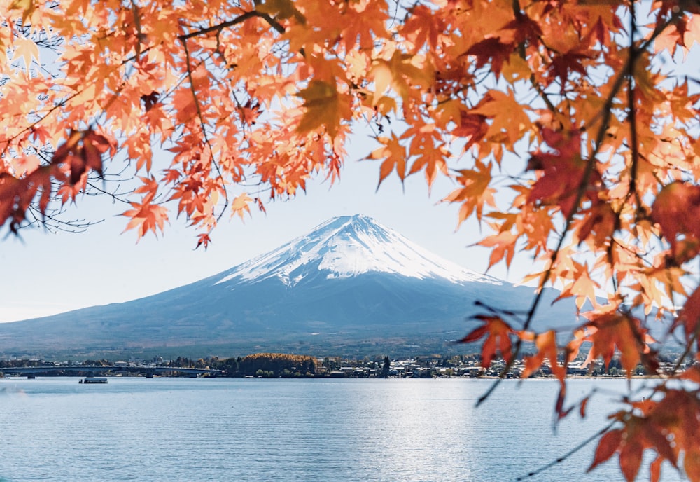 a lake with a mountain in the background