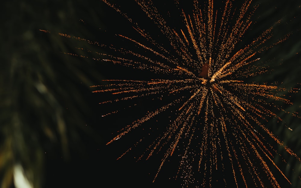 a close up of a firework in the night sky