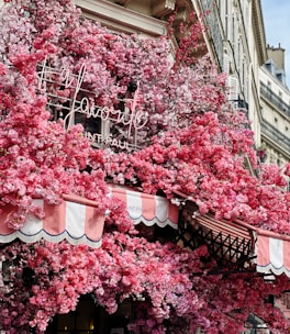 A storefront decorated with a lush display of vibrant pink flowers, partially covering a striped red and white awning. The building facade blends classical architecture with the fresh, colorful floral arrangement, creating a striking contrast.