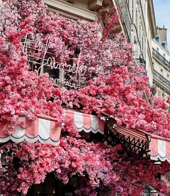 A vibrant storefront of Florine Confeccoes showcasing colorful clothing and accessories in Primavera do Leste