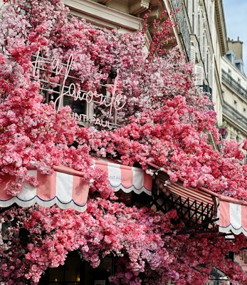 Photo 1700625385555 300b2132117b?q=85&w=750&h=400&fit=crop