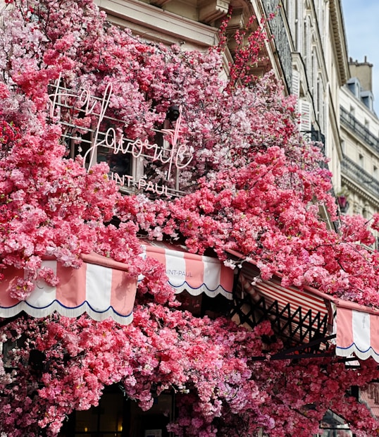 A storefront decorated with a lush display of vibrant pink flowers, partially covering a striped red and white awning. The building facade blends classical architecture with the fresh, colorful floral arrangement, creating a striking contrast.