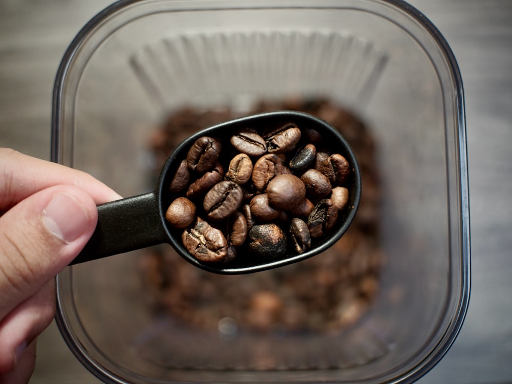 a person holding a spoon full of coffee beans