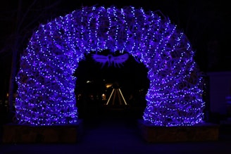 An archway made of antlers is illuminated with numerous blue-purple lights, creating a vibrant glowing effect against the dark background. A sign that reads 'Jackson Hole, WY' hangs in the center of the arch. Beyond the archway, faintly lit trees and structures can be seen.